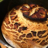 Cracking the tiger bread mystery