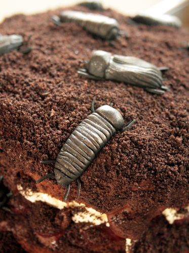 Beetle Forest Gateau Detail