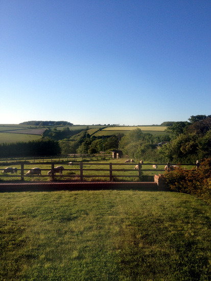 Burdale Barn view